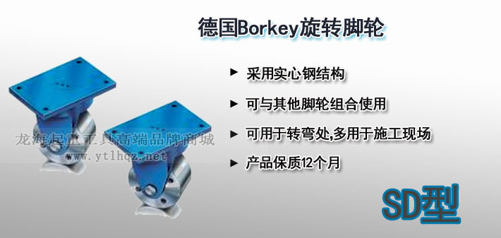 SD型Borkey旋轉(zhuǎn)腳輪圖片